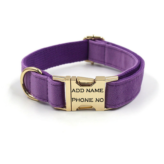 Velvet Dog Collar Purple