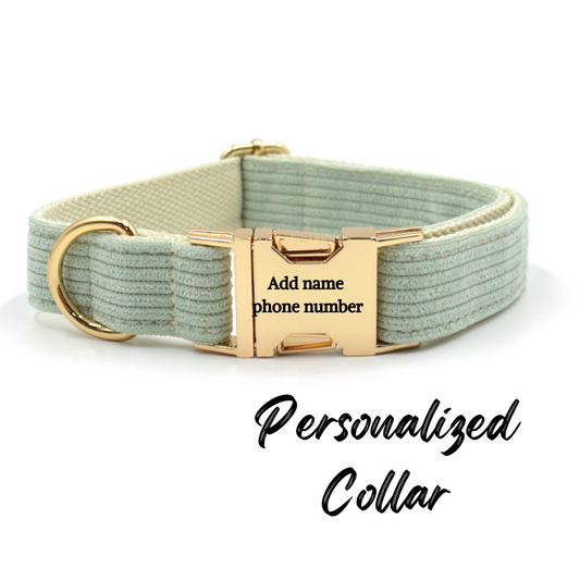 Corduroy Dog Collar Mint