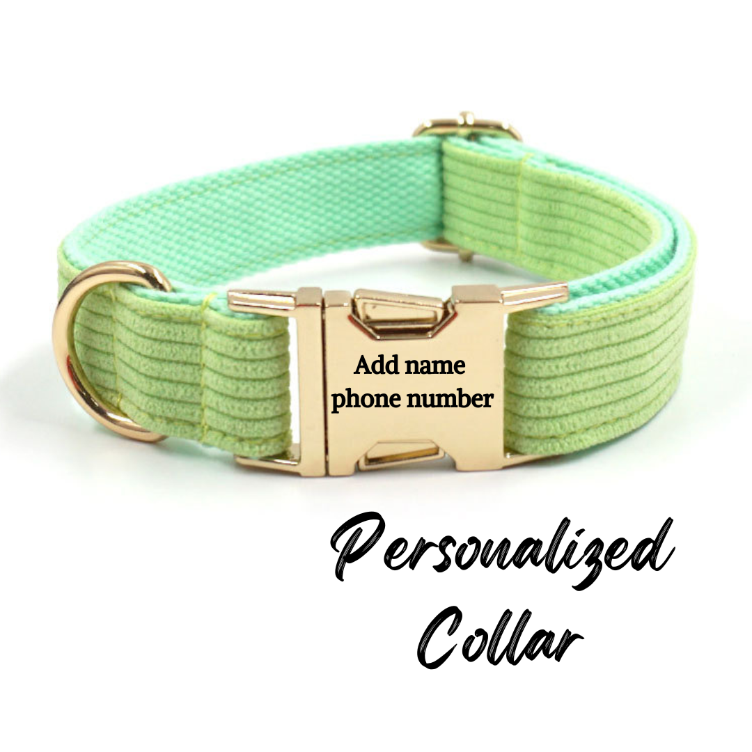 Corduroy Dog Collar Bright Green
