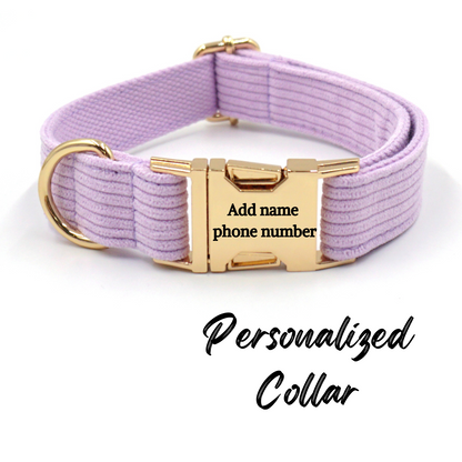 Corduroy Dog Collar Violet