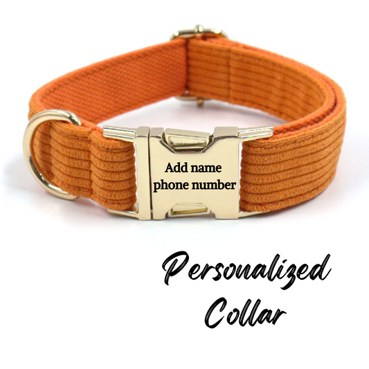 Corduroy Dog Collar Orange