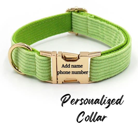 Corduroy Dog Collar Green