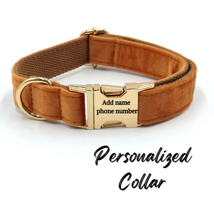 Velvet Dog Collar Chocolate