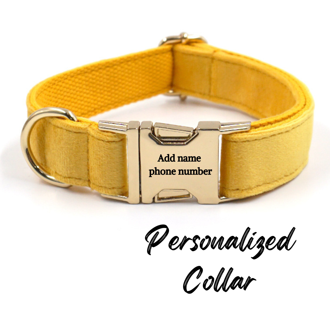 Velvet Dog Collar Yellow