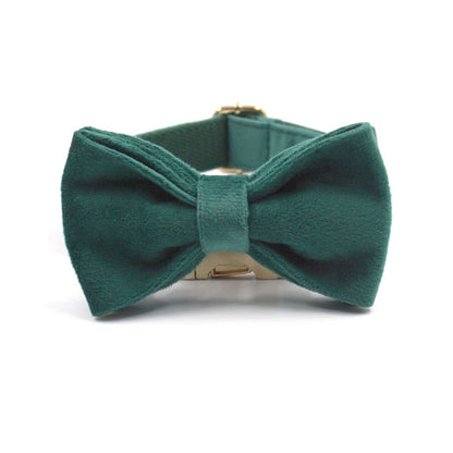 Velvet Dog Collar Teal