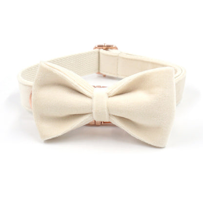 Cream Velvet Dog Collar