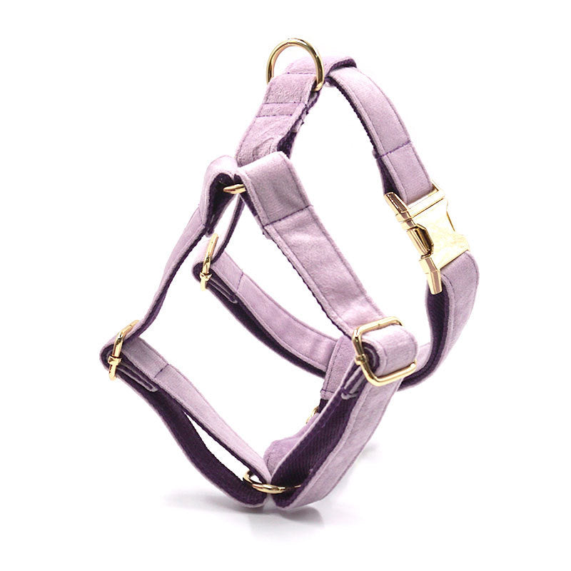 Violet Velvet Dog Harness